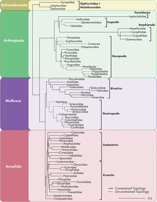 Oil disturbance reduces infaunal family richness but does not affect phylogenetic diversity